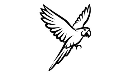 Obraz premium Adobe Illustrator Artwork