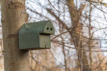 Green wooden birdhouse mounted on a tree trunk in a leafless forest. The simple nesting box...