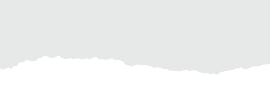 white torn or ripped paper isolated on transparent png background. vector illustration.