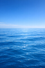 Fototapeta premium Blue Ocean Horizon with Gentle Waves and Clear Sky
