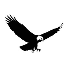 Fototapeta premium A majestic bald eagle soars through the air with wings fully extended in flight