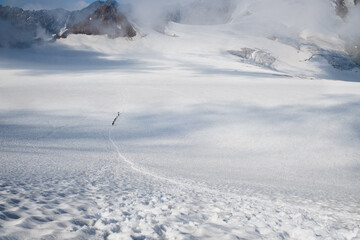 Obraz premium Group of roped climbers crossing vast snowy glacier in high mountains