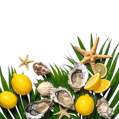 Fresh oysters, bright lemons, and sea shells arranged on vibrant green palm leaves against a black background.