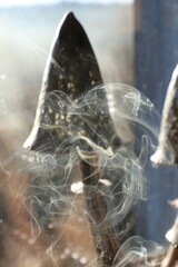 volutes de fum&eacute;e devant une lampe champignon