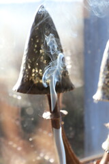 volutes de fum&eacute;e devant une lampe champignon