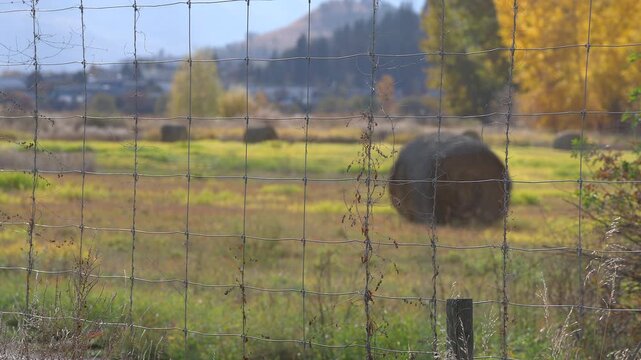 Soft focus background off hay bail on a sunny autumn day with fence in the foreground