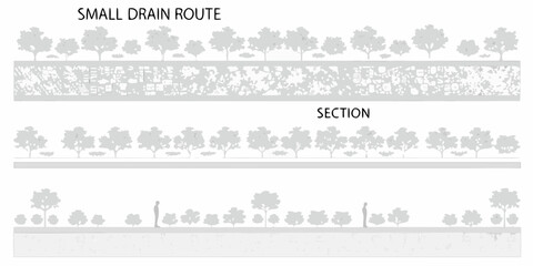 Illustrative representation of a small drain route with tree coverage and section views