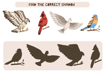 Find correct shadow game with wild forest birds