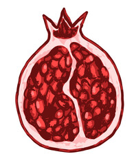 Half of cut pomegranate exotic fruit on transparent background