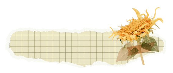 Torn notebook paper with grid background and yellow flower for scrapbook