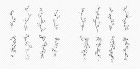 Set of Hand-Drawn Doodle Vines and Leaves for Nature-Inspired Designs. © Akun
