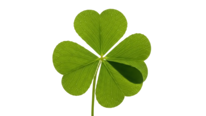 Green four leaf clover isolated PNG on transparent background, lucky charm for St Patrick s Day and good fortune
