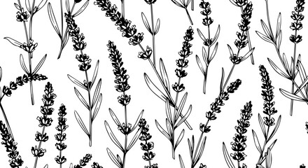 Elegant lavender floral pattern for textile design, wedding invitations, beauty product packaging, aromatherapy branding, or botanical art prints and decor © Vectors Studio