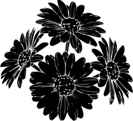 Elegant floral design featuring delicate daisies, perfect for spring projects, weddings, and nature-inspired themes, originally a scalable vector graphic © Vectors Studio
