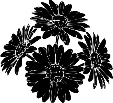 Elegant floral design featuring delicate daisies, perfect for spring projects, weddings, and nature-inspired themes, originally a scalable vector graphic
