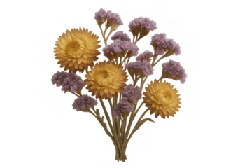 Dried strawflowers and limonium bouquet creating rustic decoration, everlasting floral arrangement on transparent background