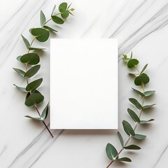 Minimalist Eucalyptus Greenery Frame on White Marble Background