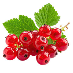 A vibrant cluster of ripe red currants with fresh green leaves against a stark black background.