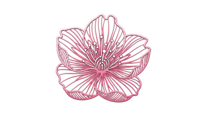 Elegant pink flower outline on black background