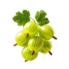 Fresh gooseberry fruit isolated on a white background.
