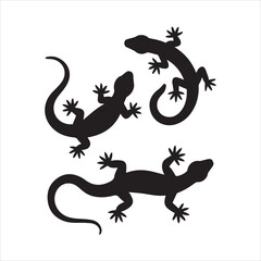 silhouette of a lizard
