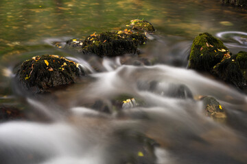 Stream flow between stones covered with moss and fallen leaves accumulated on them, calm scene