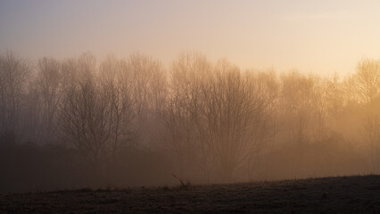 Sunrise on a foggy day over a forest in autumn