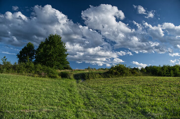 Letni popołudniowy nostalgiczny słoneczny krajobraz z pagórkami polami i zaroślami.  Lato to czas wędrówek  wśród naturalnego środowiska jakie stwarza wiejski krajobraz. © JDziedzic