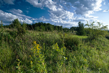 Letni popołudniowy nostalgiczny słoneczny krajobraz z pagórkami polami i zaroślami.  Lato to czas wędrówek  wśród naturalnego środowiska jakie stwarza wiejski krajobraz. © JDziedzic
