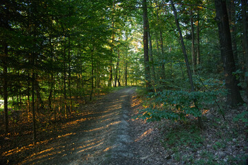 Letni popołudniowy nostalgiczny słoneczny krajobraz z pagórkami polami i zaroślami.  Lato to czas wędrówek  wśród naturalnego środowiska jakie stwarza wiejski krajobraz. © JDziedzic