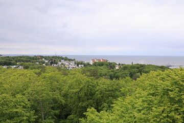 Blick von dem Heringsdorfer Baumwipfelpfad auf die Naturlandschaft der Ostseeinsel Usedom	