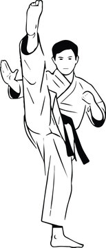 taekwondo high front kick martial artist dobok black belt pose training