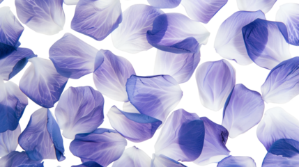 Floating purple petals scattered in a soft pattern on a white background
