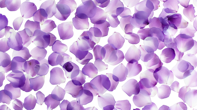 Floating purple petals scattered in a soft pattern on a white background - Powered by Adobe