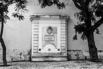 Fototapete bei efototapeten.de bestellen   