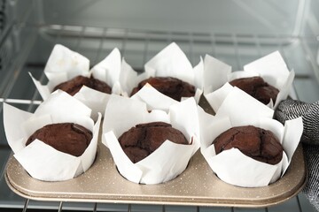 Tasty chocolate muffins baking in oven, closeup