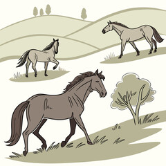 Three horses shown in various stances