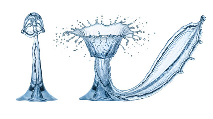 Three jellyfish morphologies isolated on transparent background