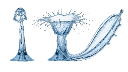 Three jellyfish morphologies isolated on transparent background