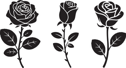 Three black roses silhouette on white background