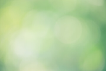 Natural green defocus light background. Blurred defocus greenery.