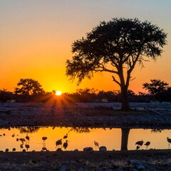 Sunrise over a tranquil African landscape