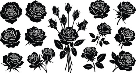 Black and white roses with detailed line floral