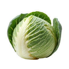 Fototapeta premium Fresh Cabbage Placed on a White Surface With Green Leaves Surrounding It