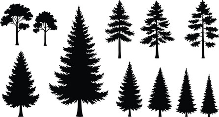 Tree silhouettes, coniferous trees, deciduous trees, forest shapes, pine outlines, nature icons, black trees, vector trees, tree collection, landscape elements © Arafat World