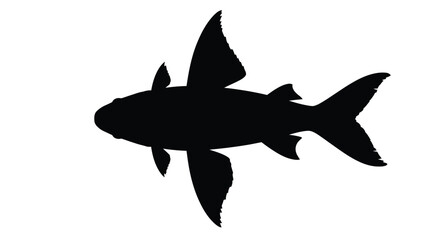 Black silhouette of a fish with large fins and whiskers