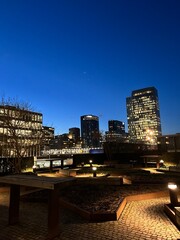 City Park With Illuminated Skyline at Night in Amsterdam.
Urban park with pathway lights and modern skyline illuminated at night in Amsterdam.
