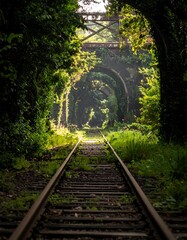 Sunlit train tracks disappearing into a lush green tunnel