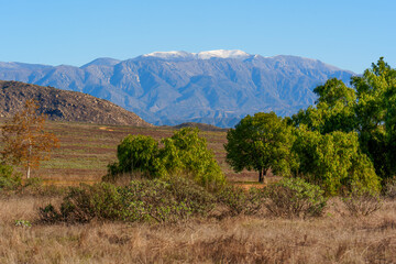 Southern California Landscape With Snow-Dusted Peaks