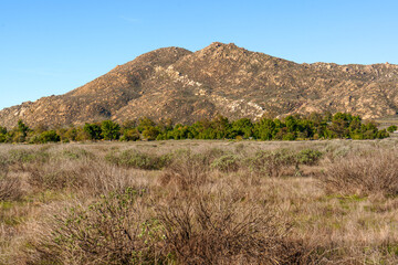 Scenic Vista of Rugged Mountains and Sparse Woodland